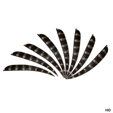50X 4"/5" PARABOLIC NATURAL BARRED FEATHERS