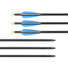 12 X 30 inch carbon arrows 600 spine with screw in heads